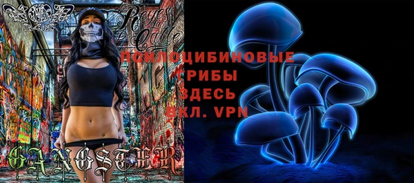2c-b Алексеевка
