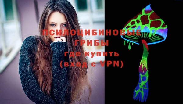 дмт Абаза