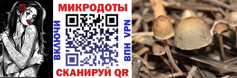 купить   Весьегонск  Галлюциногенные грибы MAGIC MUSHROOMS 